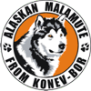 Питомник Аляскинских маламутов. FROM KONEV-BOR.